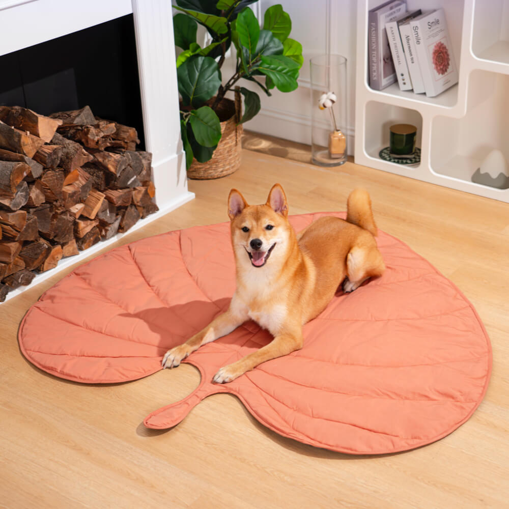https://cdn.shopify.com/s/files/1/0549/1638/2879/files/LeafShapeDogBlanket_AnthuriumPink.jpg?v=1712581681