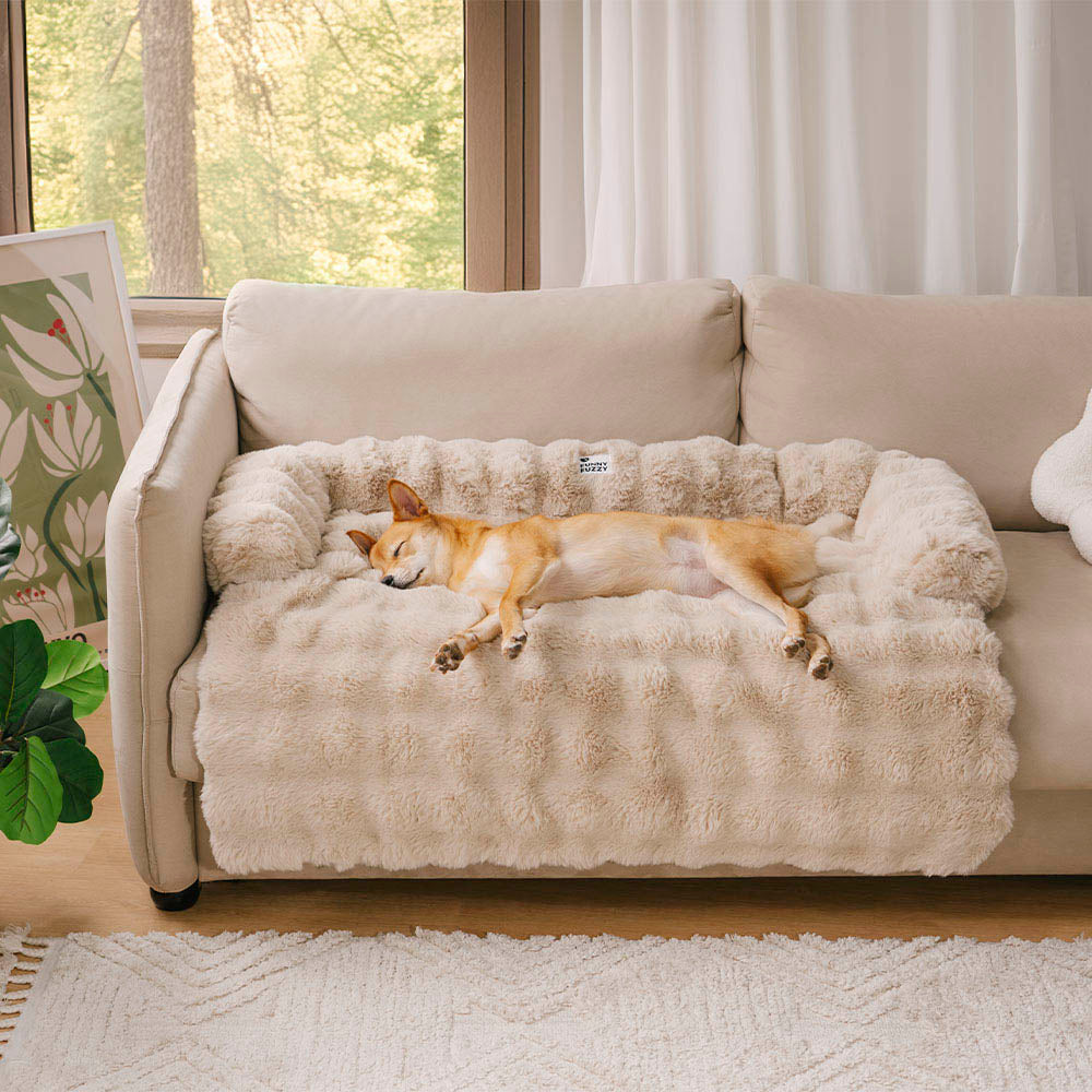 https://cdn.shopify.com/s/files/1/0549/1638/2879/files/1151.jpg?v=1741145845