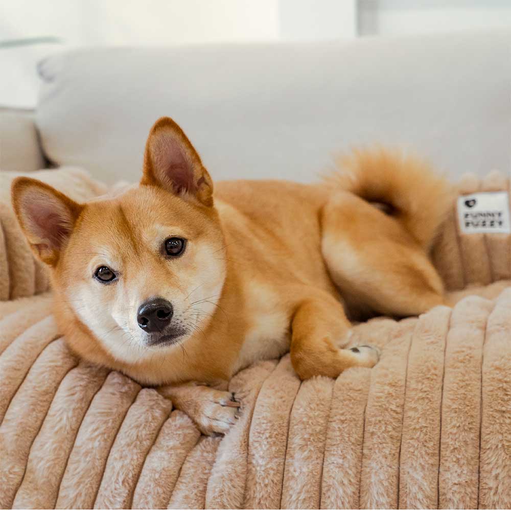 Fluffy Sofa Blanket Bolster Dog Mat Couch Cover Protector