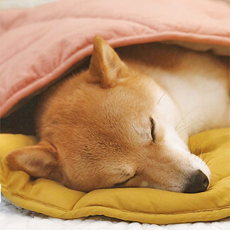 Stylish Leaf Shape Dog Blanket for Cozy Comfort