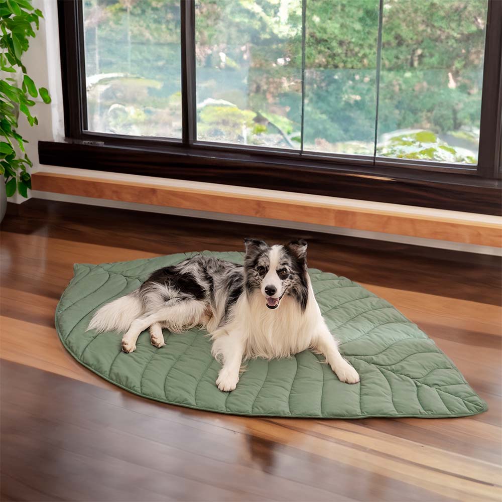 Stylish Leaf Shape Dog Blanket for Cozy Comfort