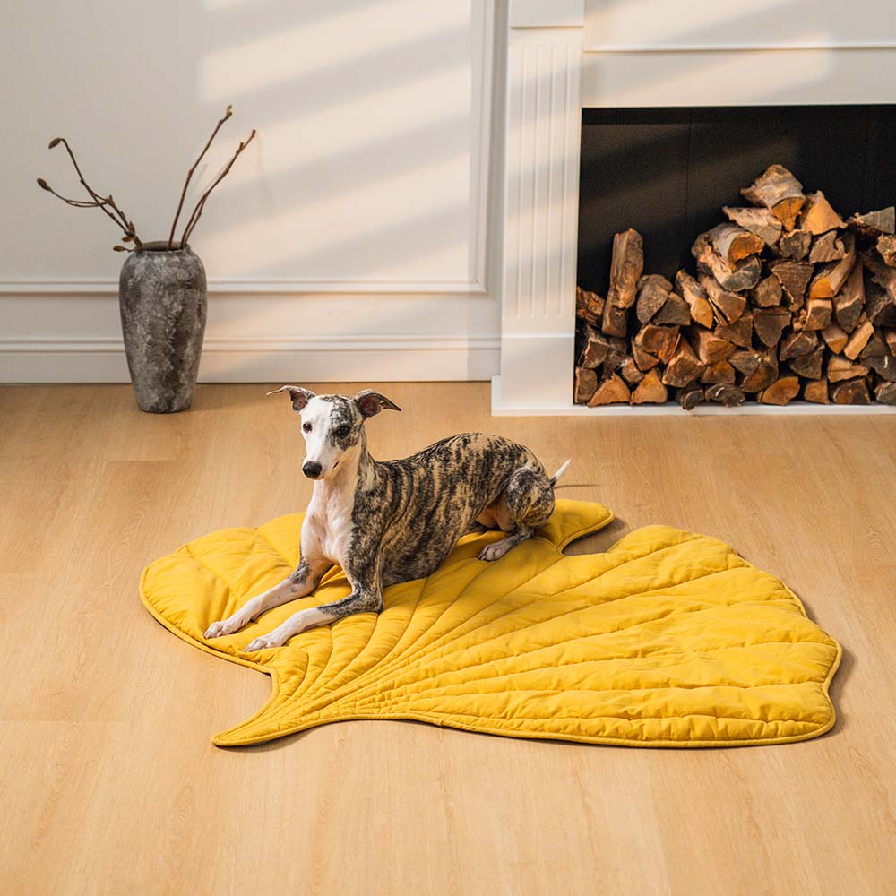 Stylish Leaf Shape Dog Blanket for Cozy Comfort