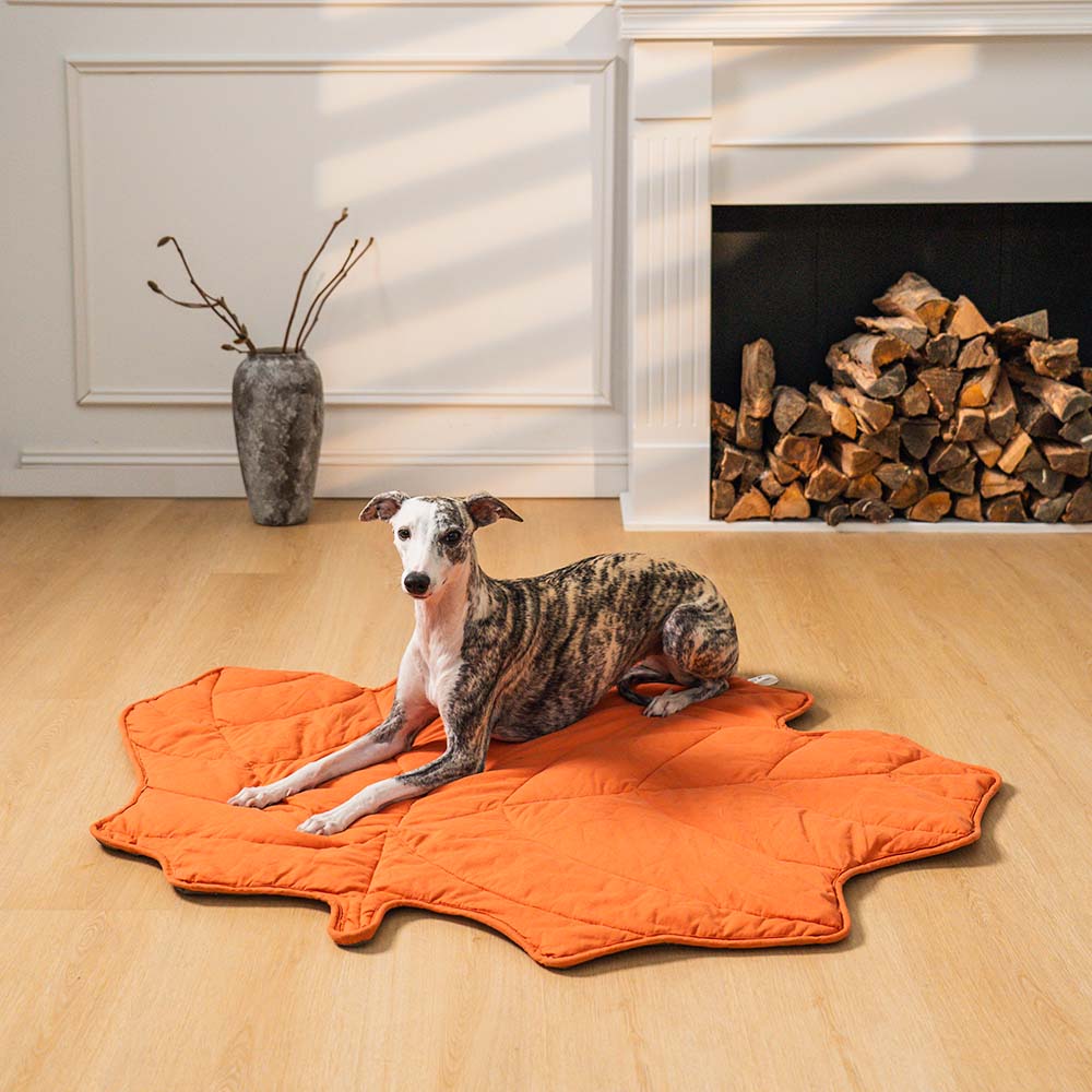 Stylish Leaf Shape Dog Blanket for Cozy Comfort