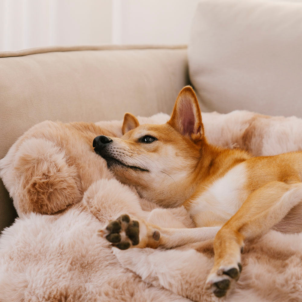 Cozy Fluffy Fuzzy Calming Dog Bed Sofa Protector Mat