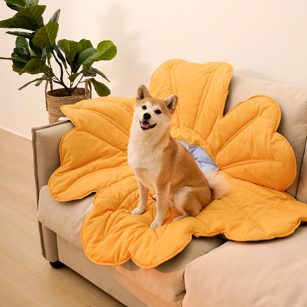 Super Large Flower Shape Human Mat Dog Blanket for Your Pets