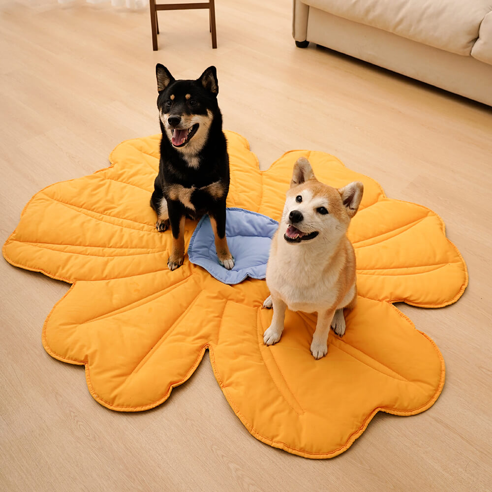 Super Large Flower Shape Human Mat Dog Blanket for Your Pets