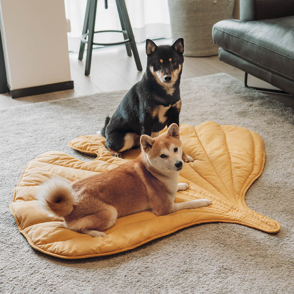 Stylish Leaf Shape Dog Blanket for Cozy Comfort