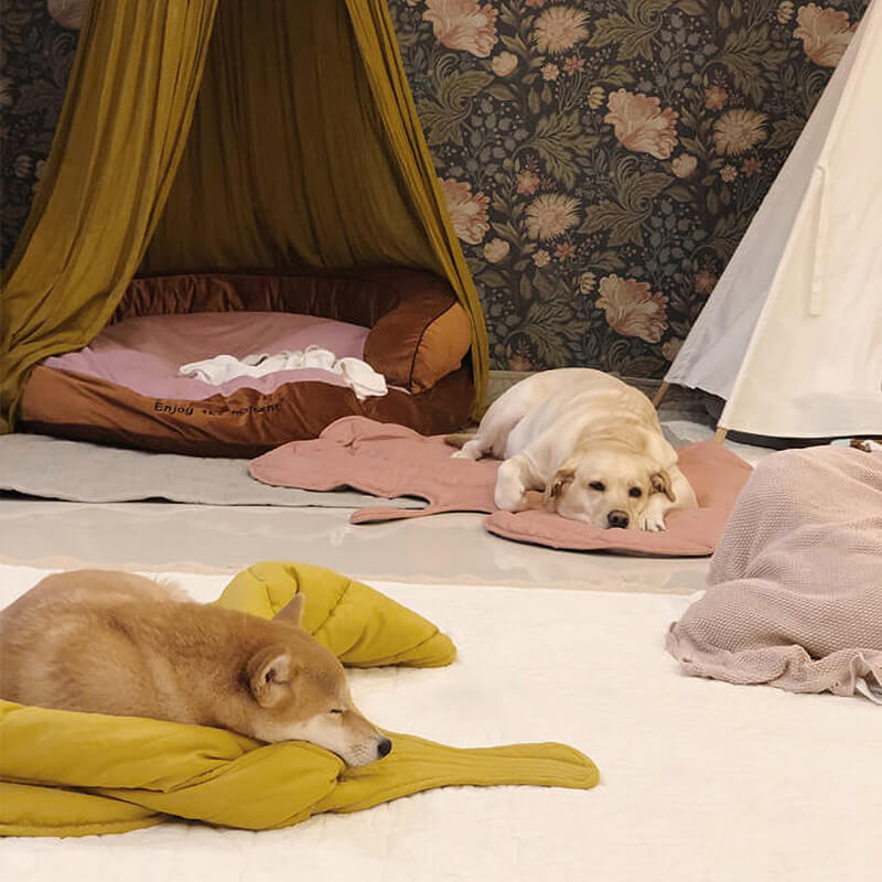 Stylish Leaf Shape Dog Blanket for Cozy Comfort