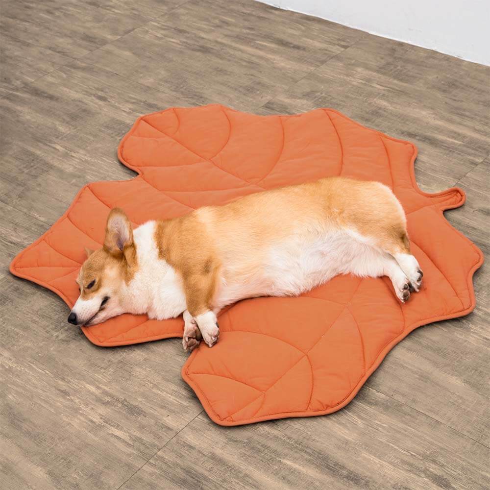 https://cdn.shopify.com/s/files/1/0549/1638/2879/products/mapleredB4.jpg?v=1734407454