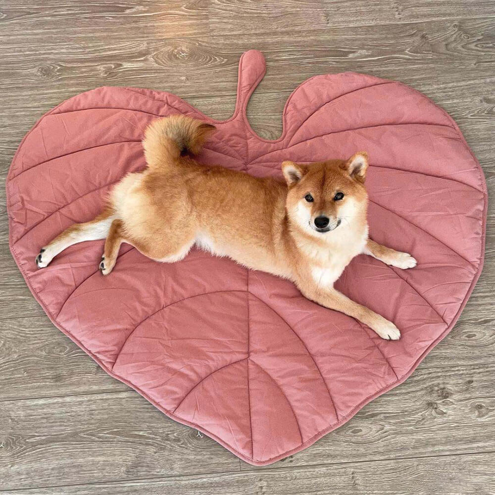Stylish Leaf Shape Dog Blanket for Cozy Comfort