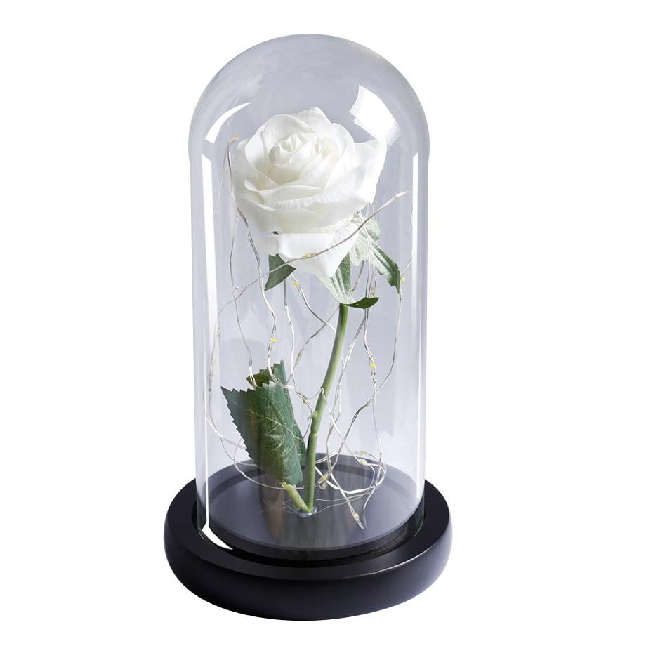 Eternal Rose - Bright White - Vintage Charmz