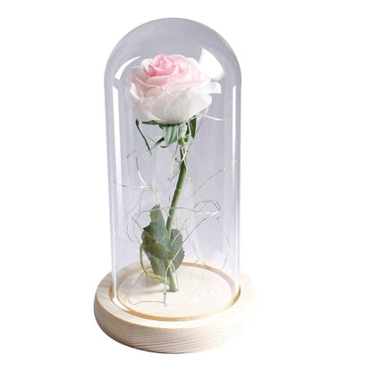 Eternal Rose - White / Luminous Rose - Vintage Charmz