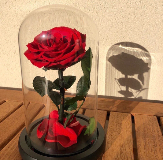 Eternal Rose - Red