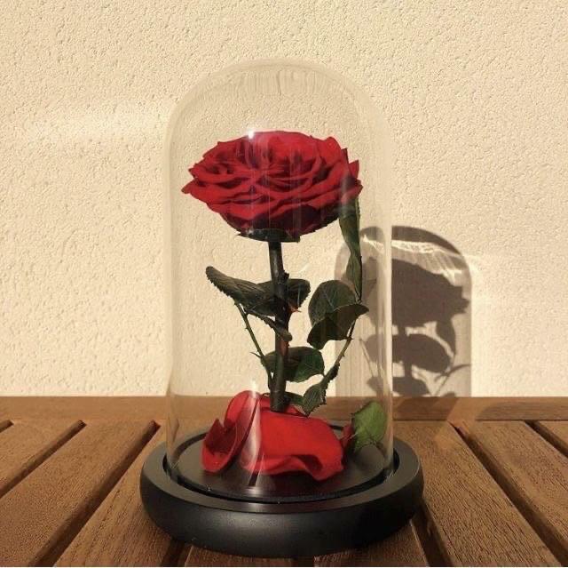 Eternal Rose - Red