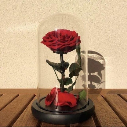 Eternal Rose - Red