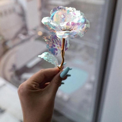 Rose Galaxy